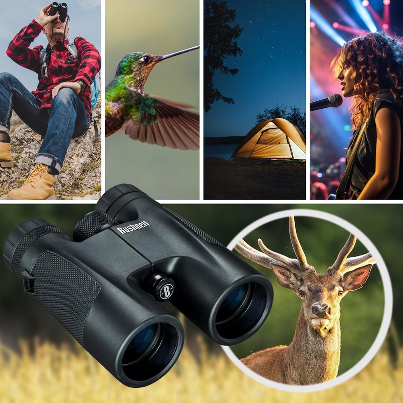 Bushnell منظار بوشنل 10 × 42 باو فيو برزم السقف - Image 3